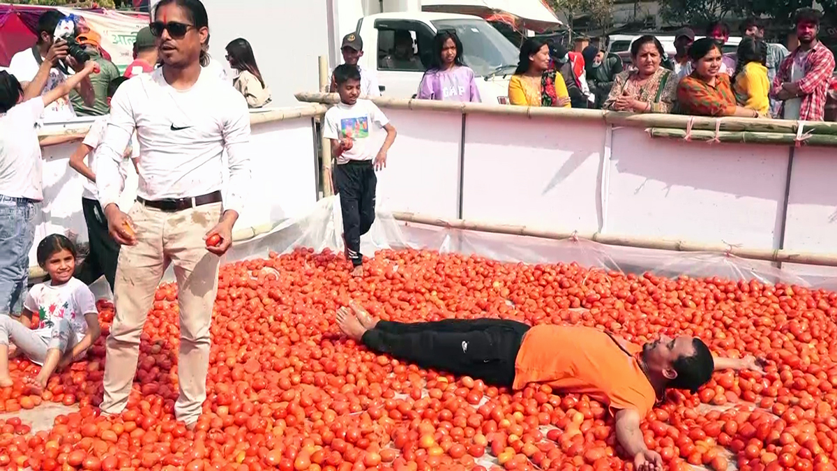 tomatino festival_Moment नालत्रबतभवजलतत्र1678100881.jpg